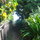 A Piece of Our Paradise in Kailua