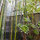 Mission Garden Apartment