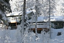 Red Dog Cabin