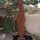 Enjoy the Sculpture Garden!