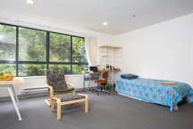 Scenic Green hillside Apt near UCSF