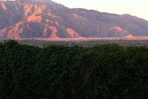 NO VIEW LIKE IT IN THE VALLEY! 