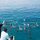 Dolphin cruises