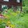 We like to garden