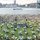 Williamsburg waterfront