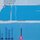 the blue flag program