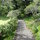 Our one acre gardens. Pick fruit and flowers to enjoy.