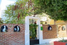 Adorable a Block from Bay Of La Paz