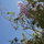 Sping is in the air...