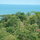 View from the deck of the trees and ocean above Playa Hermosa