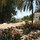 view from the Guesthouse onto mediterranean sea on the horizon