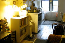 Hip Space for Artists, Cat Lovers
