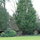 Lord's stately home with gardens