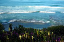 Steps from SRF/ Swami's Encinitas