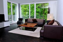 Great room overlooking Lucerne!