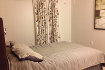Dog-Friendly Room in DC Suburb