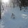 Sled run in back of house