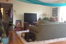 Gorgeous SF Bay Area Apartment!!