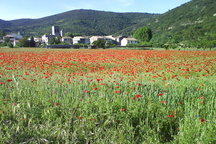 In the Heart of the Haut Languedoc