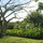 Jade Lily-Luxury Treetop Bungalow! 
