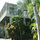 Jade Lily-Luxury Treetop Bungalow! 