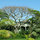Jade Lily-Luxury Treetop Bungalow! 
