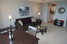 Gorgeous 1 bedroom Lincoln Park ET
