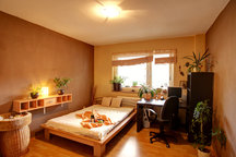 Light and cosy room in Frankfurt