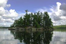 Rent all of Lindstrom's Cabins!