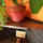 Cheery Artsy Studio-2 mi to downtwn