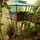 tropical treehouse