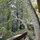 Treehouse Overlooking SF Bay