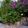 Casitas Kinsol Guest House - Room 7