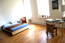 Beautiful Light Loft in NYC 1000sft