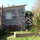                                                        cabin side view with blooming apricot tree