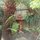 Blissful Katoomba Retreat
