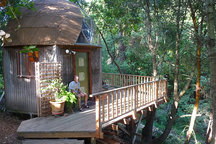 Mushroom Dome Cabin: #1 on airbnb