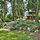 Haller Lake Restored Log Cabin