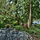 Haller Lake Restored Log Cabin