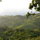 Morning cloud mist as seen from the upstairs balcony and private yoga studio. 