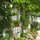 the terrace
