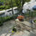 Riverview Home - Next to train