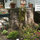 Riverview Home - Next to train