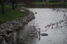 Stay with nature at Ann Arbor