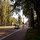Streetview