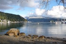 Cozy Cove Suite-Beautiful Deep Cove