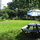our back yard