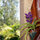 Chic Eco Yurt Home + Edible Gardens
