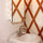 Chic Eco Yurt Home + Edible Gardens