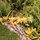 Chic Eco Yurt Home + Edible Gardens